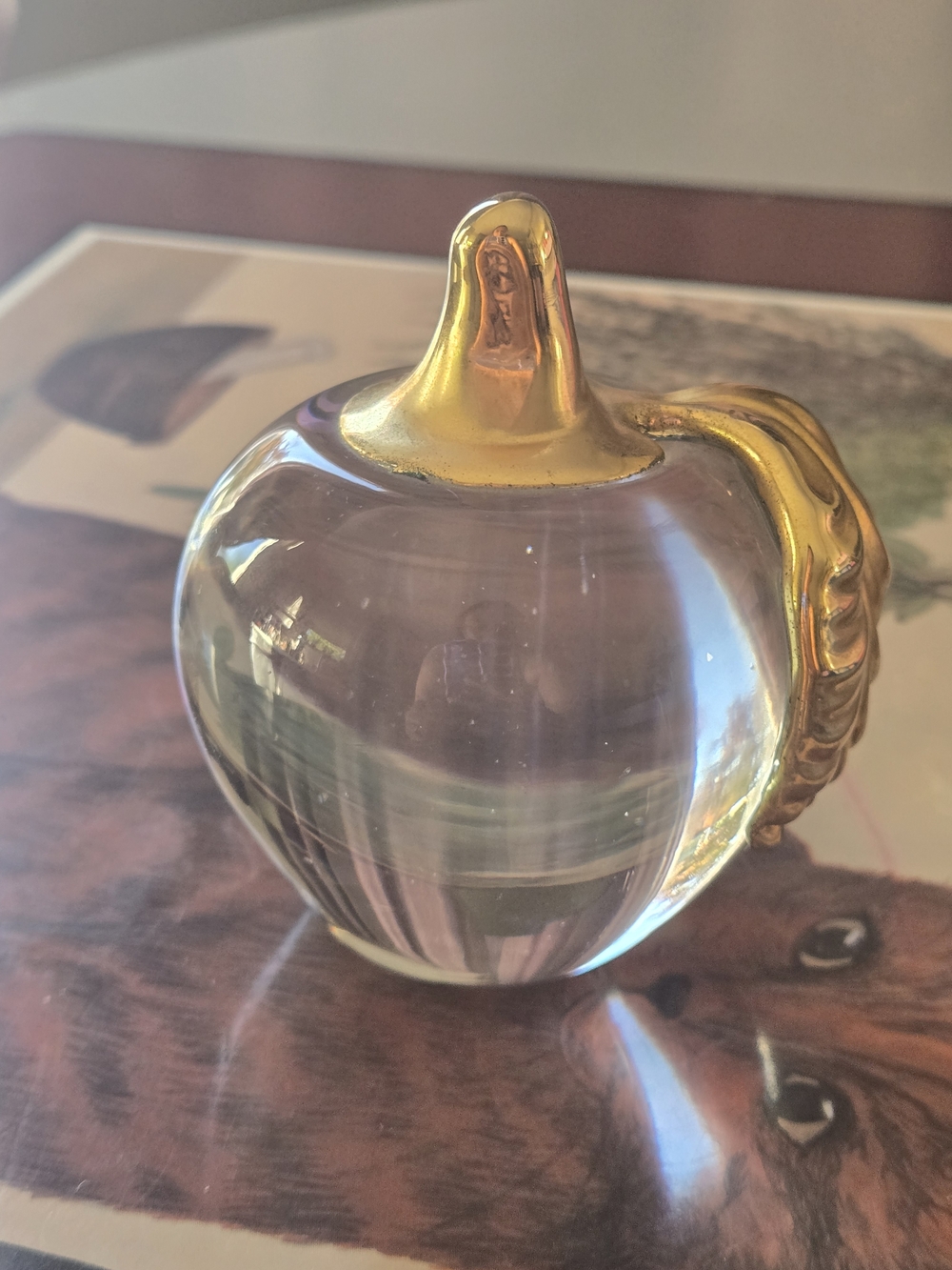 Vintage Glass Apple Paperweight with Brass Stem and Leaf - Picture 3 of 5